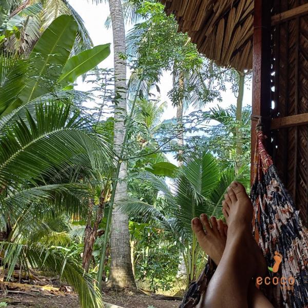 Ecoco Homestay Mekong Ben Tre Bagian luar foto